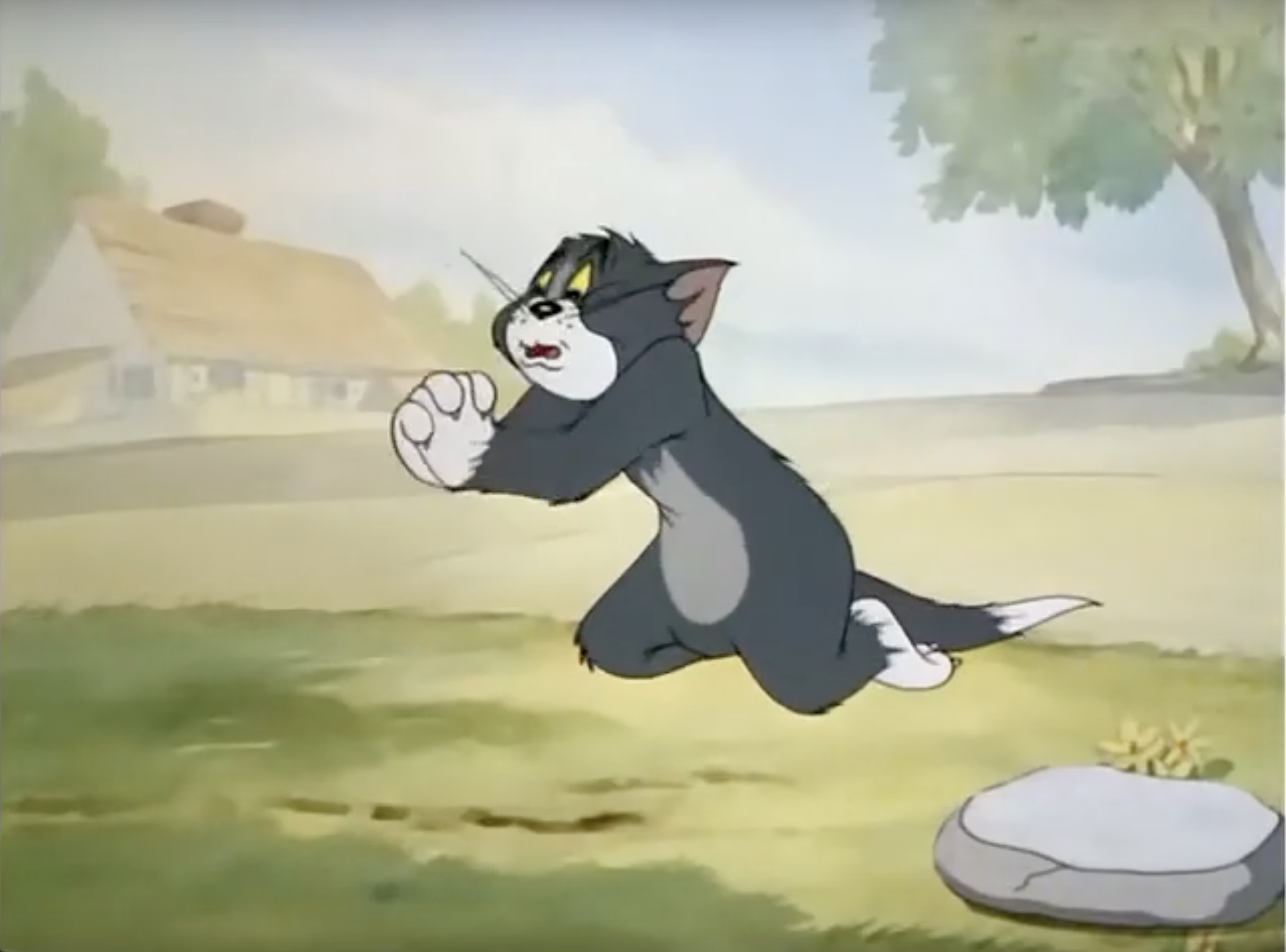 Tom, the cartoon cat, on his knees pleading